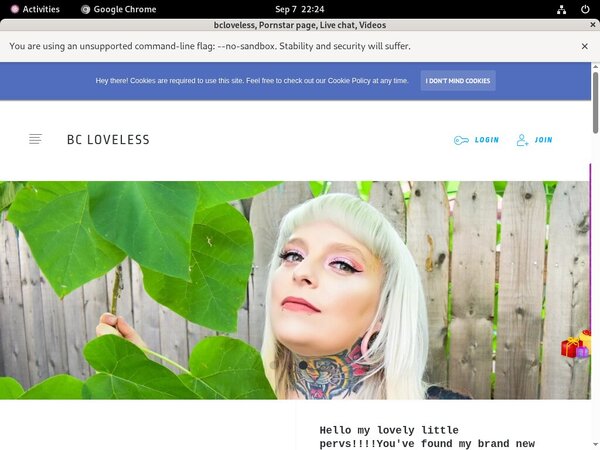 Bcloveless Active Accounts