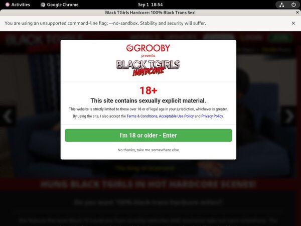Blacktgirlshardcore.com Paysite