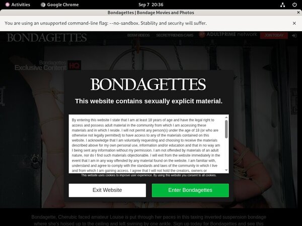 Bondagettes Passwords