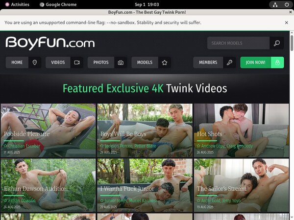 Boy Fun Account Passwords
