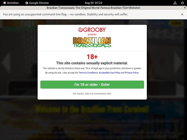 Brazilian Transsexuals Discount Form