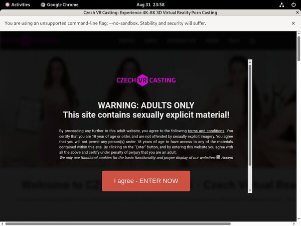 Czechvrcasting.com Sign Up Page