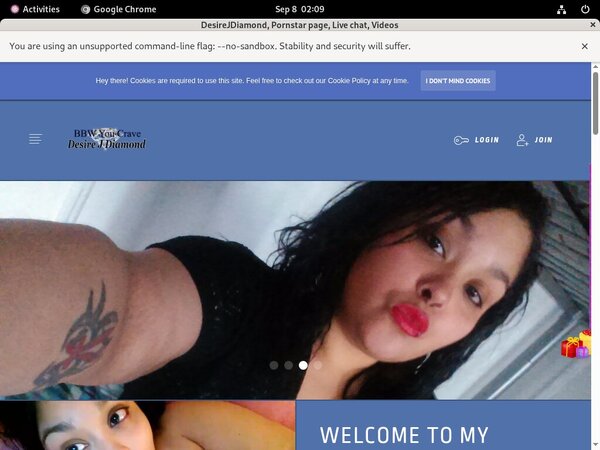 Desirejdiamond.modelcentro.com Accept Paypal