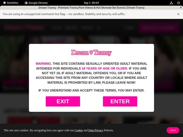 Dream Tranny Cam