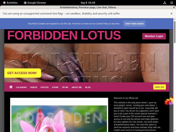 Forbiddenlotus.com Passwords