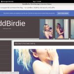 Free Password BaddBirdie Free Password BaddBirdie