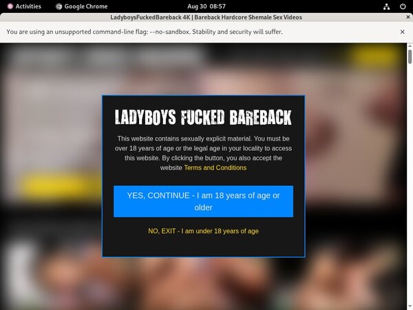 Free Premium Ladyboys Fucked Bareback Accounts