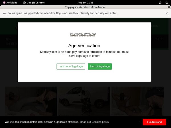 Free Sketboy.com Account Password