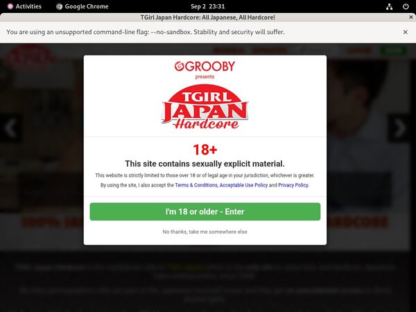 Free Tgirljapanhardcore Acounts