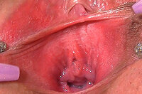 Gape My Pussy Xxx Passwords s3