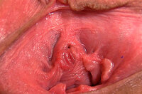 Gapemypussy.com With IBAN / BIC s2 Gapemypussy.com With IBAN / BIC s2