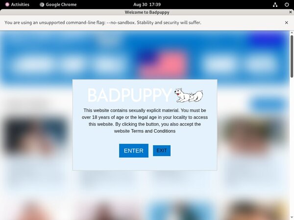 Get Badpuppy.com Day Trial