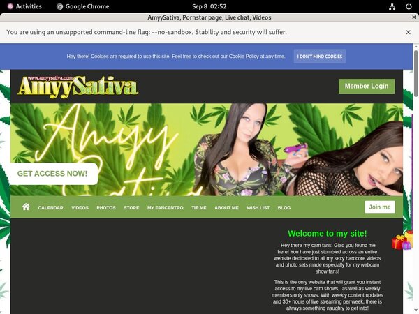 Get Free AmyySativa Passwords
