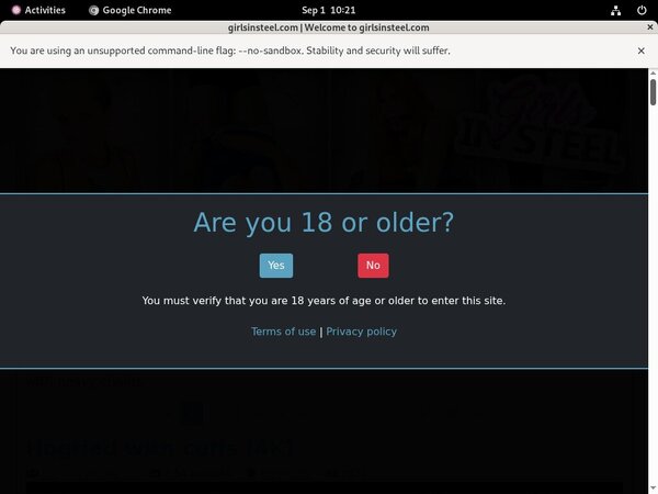 Girlsinsteel.com Site-rip