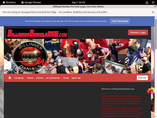 How Much Does Dillingerdanielsraw.com Cost