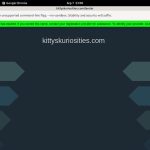 Kitty’sKuriosities Acc Premium