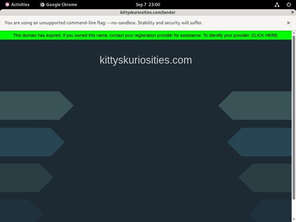Kittyskuriosities.com Accounts And Passwords