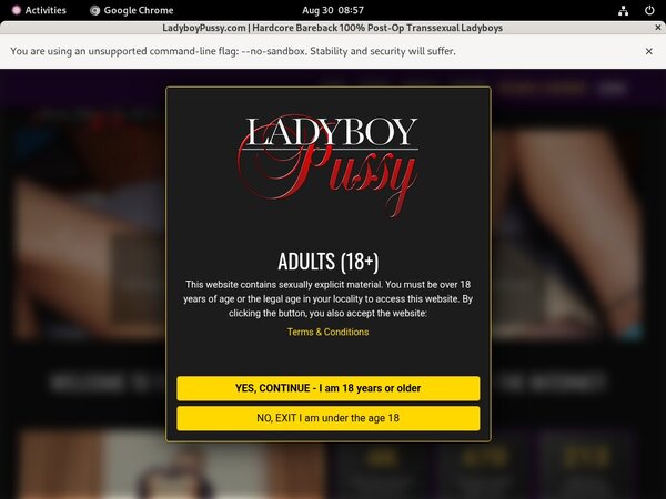 Ladyboy Pussy Bondage