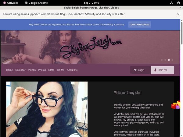 Leigh Skylar Password
