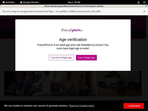 Login Frenchporn.fr Free Trial