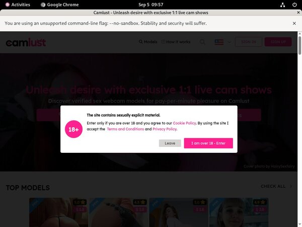 Lust Cam Passwords