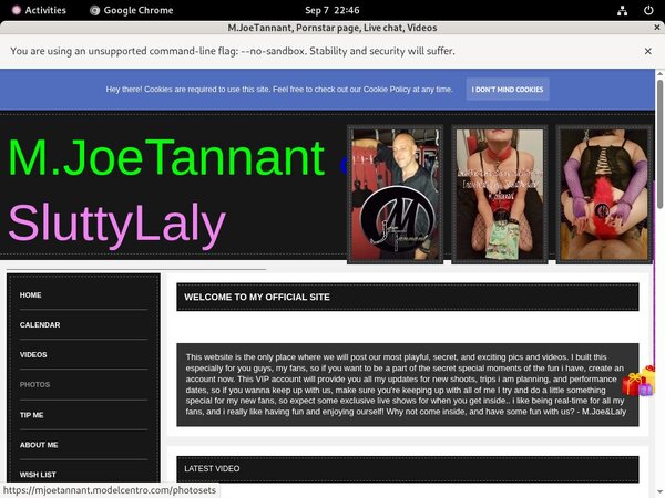 M.JoeTannant Gallery