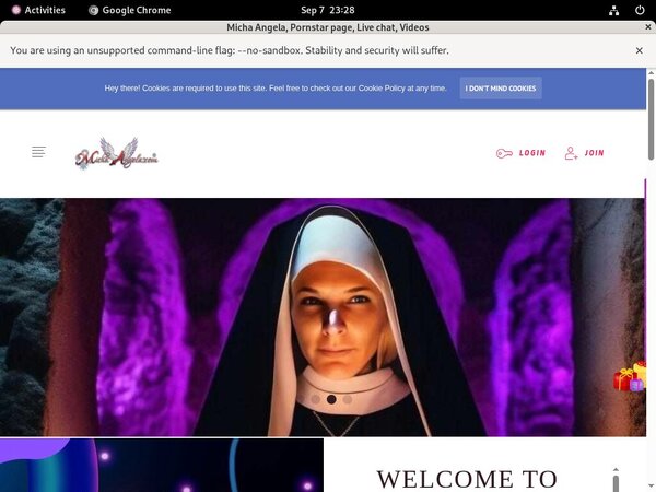 Michaangela.com Account Share