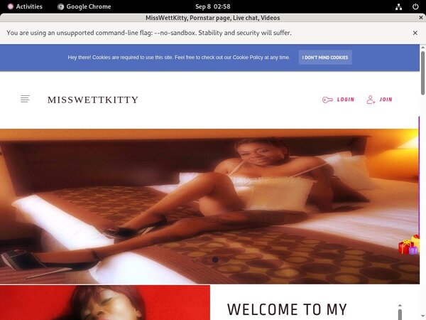 MissWettKitty Hack