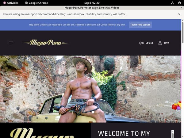 Mugursworld.com With Online Check