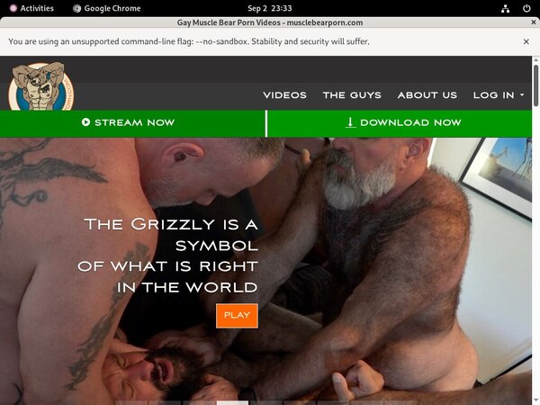 Muscle Bear Porn Active Accounts
