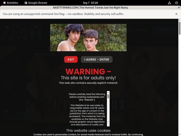 Nasty Twinks Site Rip Url