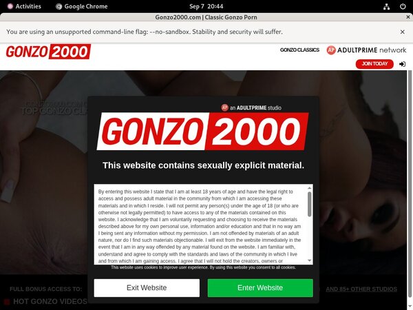 New Gonzo 2000 Accounts New Gonzo 2000 Accounts