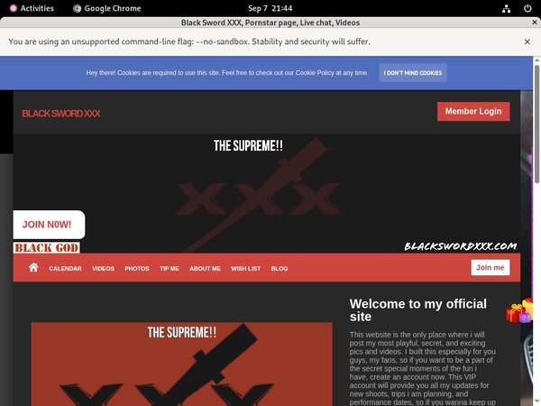 Password To Blackswordxxx.com