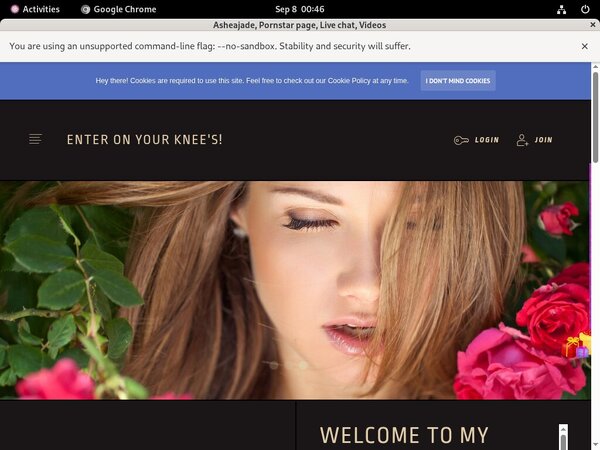 Pay For Ashea.modelcentro.com