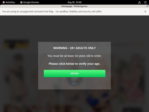 Perfectgonzo Password Generator