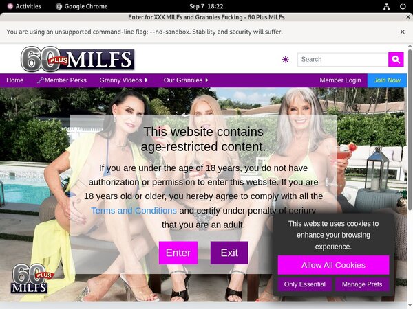 Premium 60plusmilfs.com Accounts Free