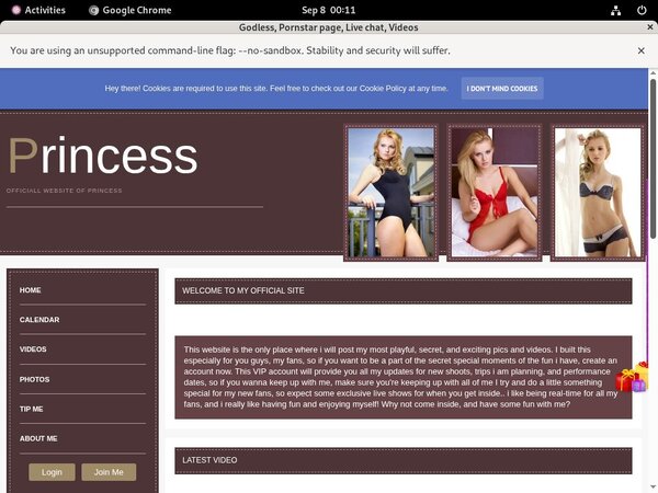 Premium Cardboard.modelcentro.com
