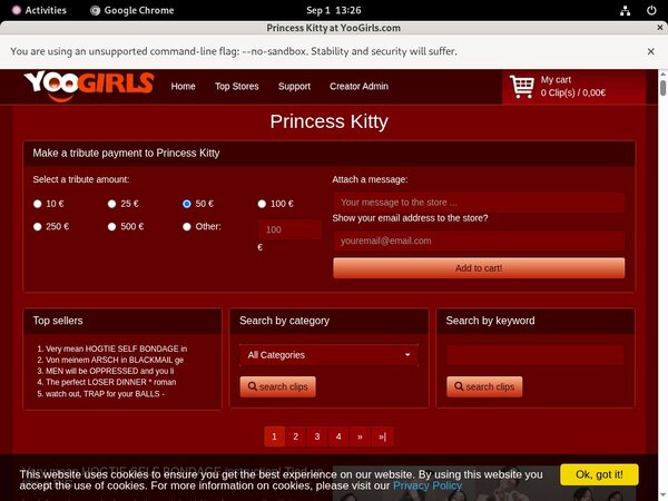 PrincessKitty Chat