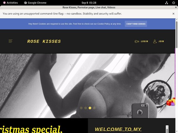 Rosekissesx.modelcentro.com Accounts Passwords