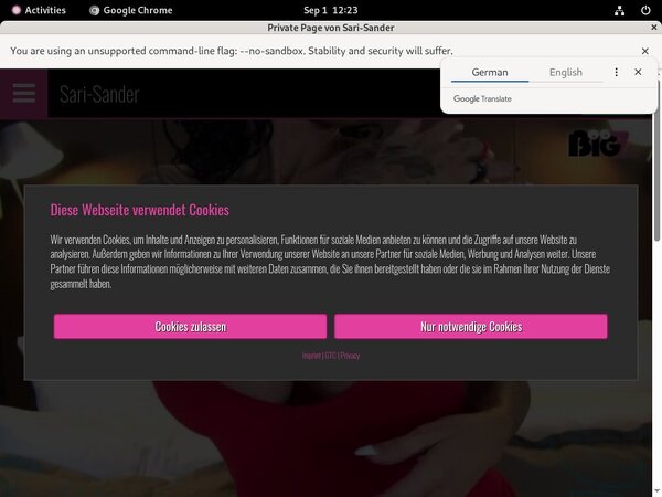 Sari-sander.com Promos