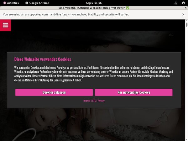 Sina Valentini Accont Sina Valentini Accont