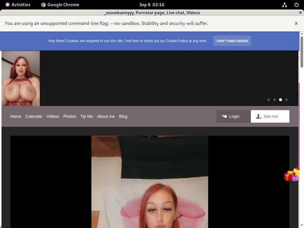 Snowbunnyy Free Account Passwords