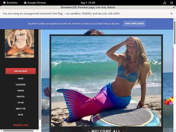 Strawberry19.modelcentro.com Access Strawberry19.modelcentro.com Access