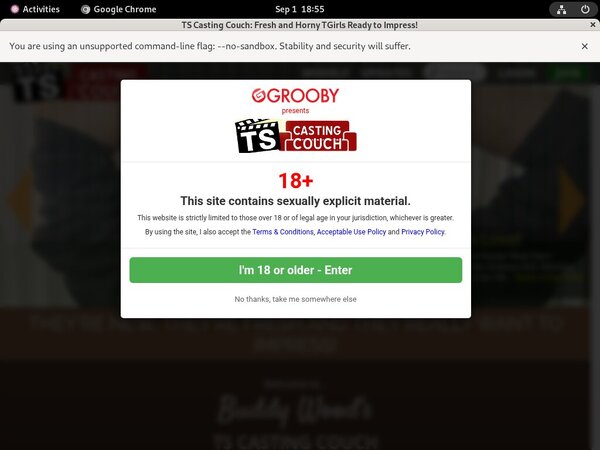 TS Casting Couch Sex