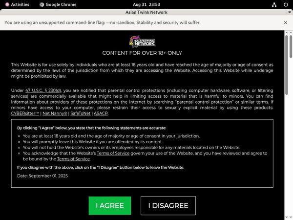 Thai Gay Boys Coupon Deal