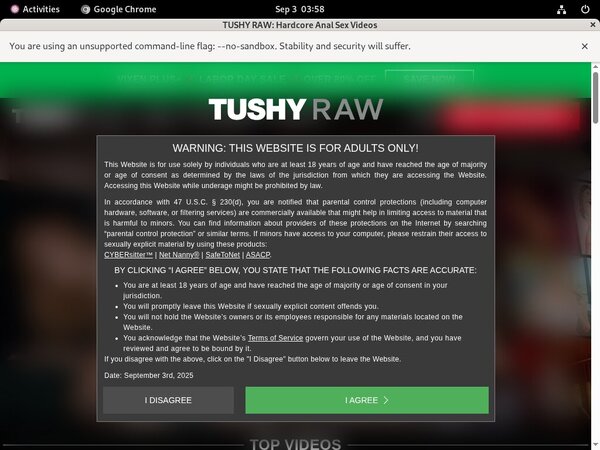 Tushyraw Model