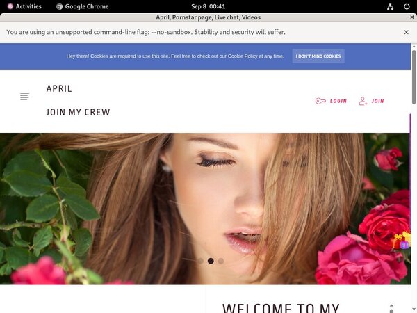 Using Paypal Ladyapril.modelcentro.com