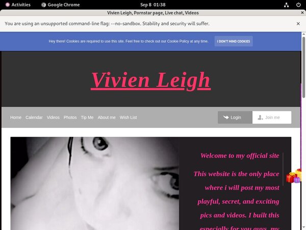 Vivien Leigh Site Reviews