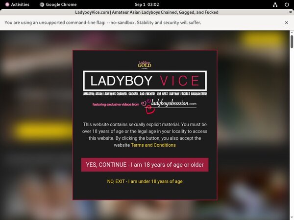 Working Ladyboyvice.com Account