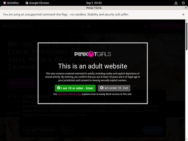 Pinkotgirls.com Free Hd Porn